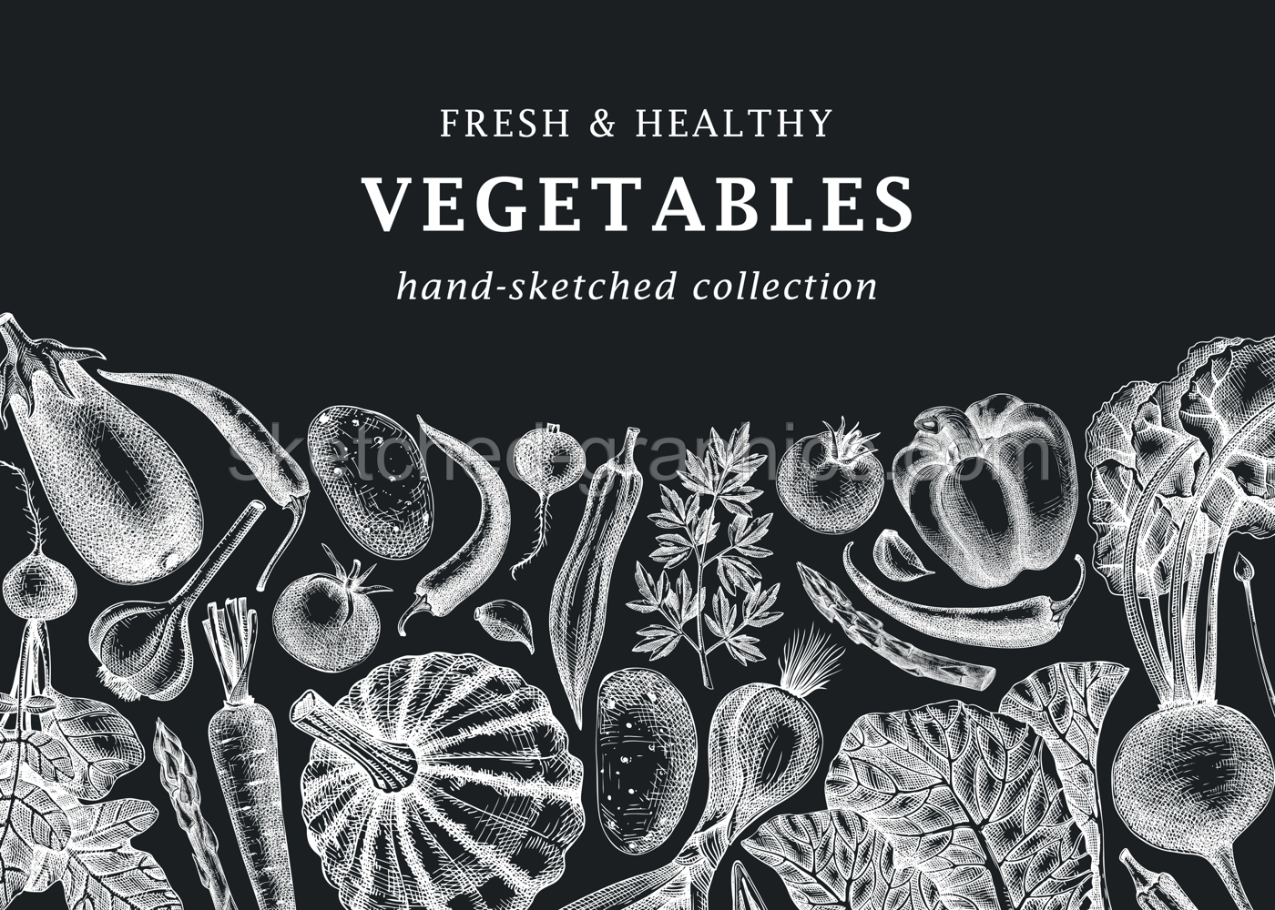 Hand-sketched vegetables design on chalkboard. Hand-drawn tomatoes, squashes, peppers, potatoes, asparagus drawings and other vegetables. Healthy food banner for menu, restaurant, packaging, labels.  Illustration